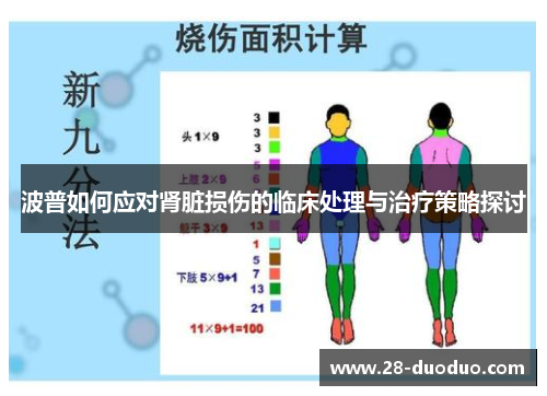 波普如何应对肾脏损伤的临床处理与治疗策略探讨