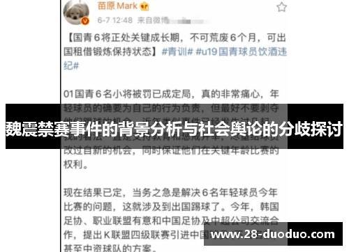 魏震禁赛事件的背景分析与社会舆论的分歧探讨